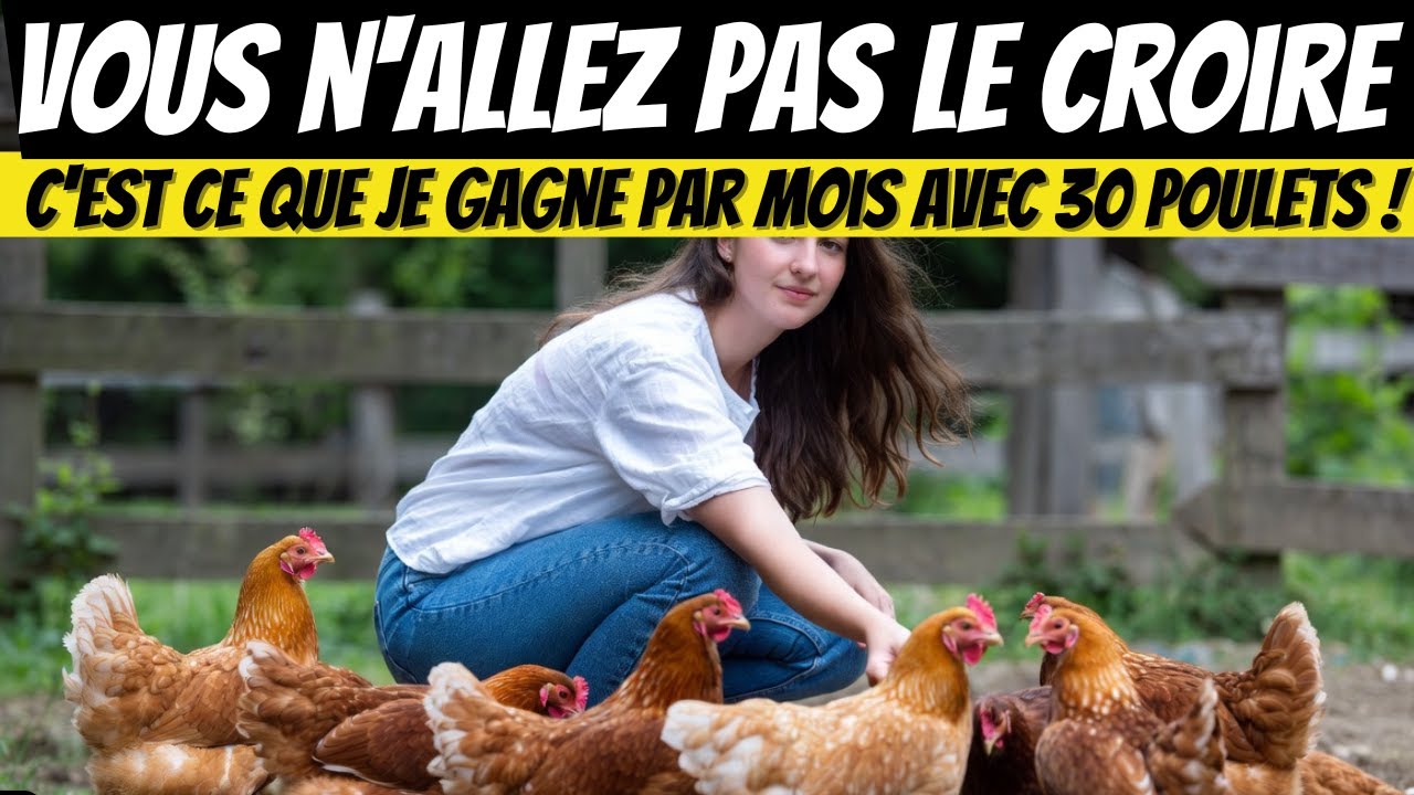 Combien je gagne par mois avec mes 30 poules pondeuses _ Je vais vous montrer les bénéfices réels..