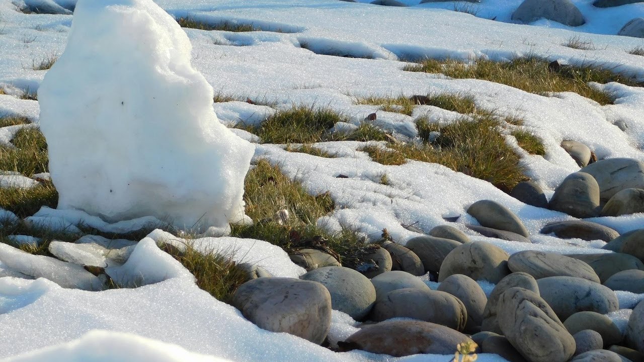 Singularity Breach - Beyond Infinite Density