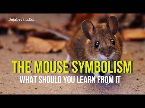 Video: Legendarische Mouse Tower - Alternatieve Mening