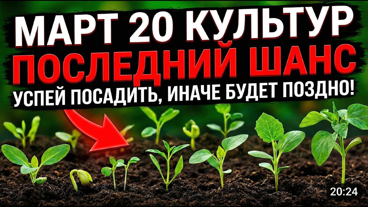 20 культур, которые НУЖНО посеять в МАРТЕ — потом будет поздно!