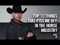 When You're New to Horses, Make Sure You Pair Yourself With the Right Horse