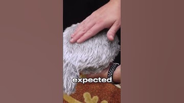 What to Expect at CES 2023!