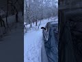 Почему так тянет на природу??#зима #природа