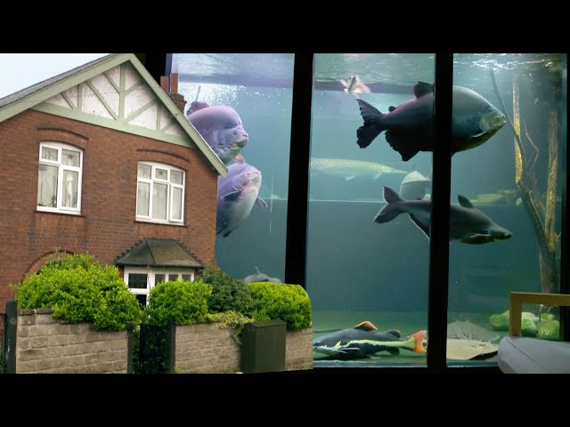 This Is England's Largest Home Aquarium 