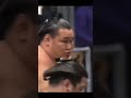 Hoshoryu VS Hiradoumi Haru Basho 2026 Sumo #япония #japan #сумо #япония #mma #ufc #wwe #sumo #борьба