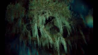 Tale Of A Psyche - Ambivalence (An Improvised Interlude)