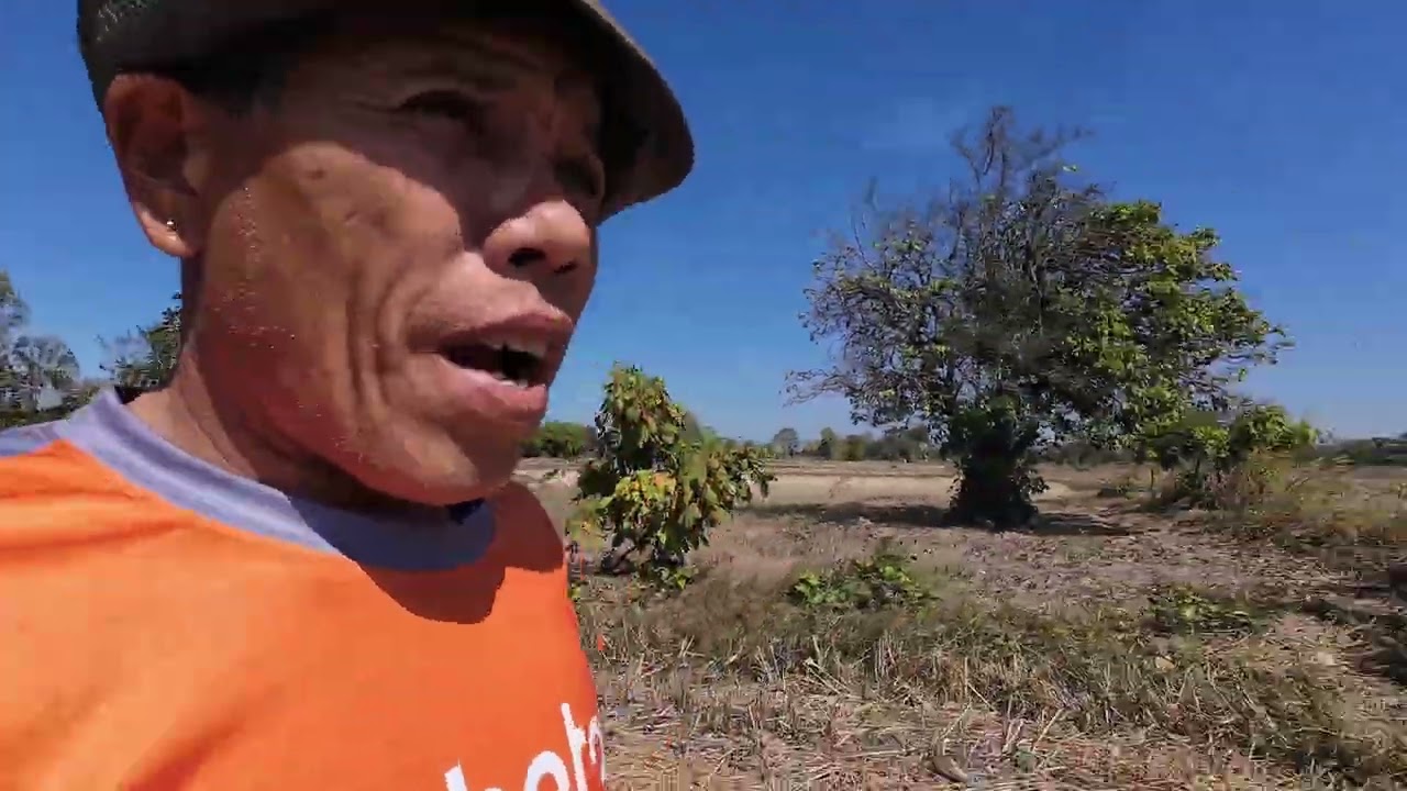 ปรับที่นาเตรียมฤดูการทำนาต่อไป