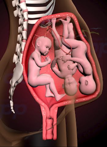 PRECIOUS MOMENTS OF TRIPLETS INSIDE THE WOMB  (3D ANIMATION)