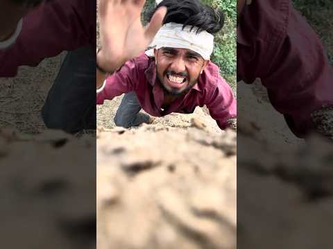 Kabuter ne ye kya kiya😱🕊️😳 #pigeon  #shorts #shortsfeed #ytshorts #viral #spkabuterclub