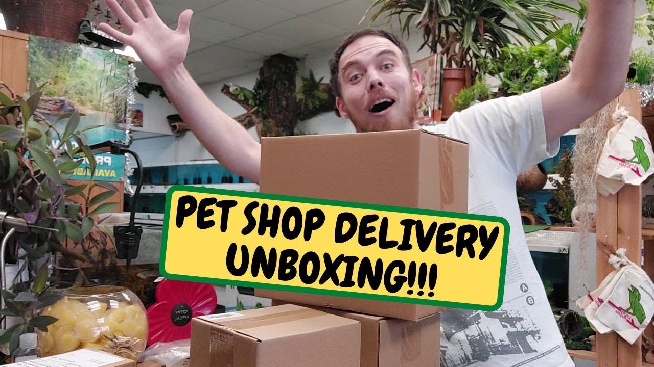 Delivery Day!!! Unboxing Pet Shop Supplies (Snake Island Exotics) YouTube