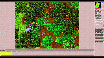 Tibia Boss Tutorial - Hide, the Tarantula Boss