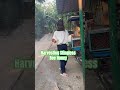 Harvesting Stingless Honey #2026 #fypシ #thejavierrfamily #vlog #nature #shorts #bees #fyp #stingless