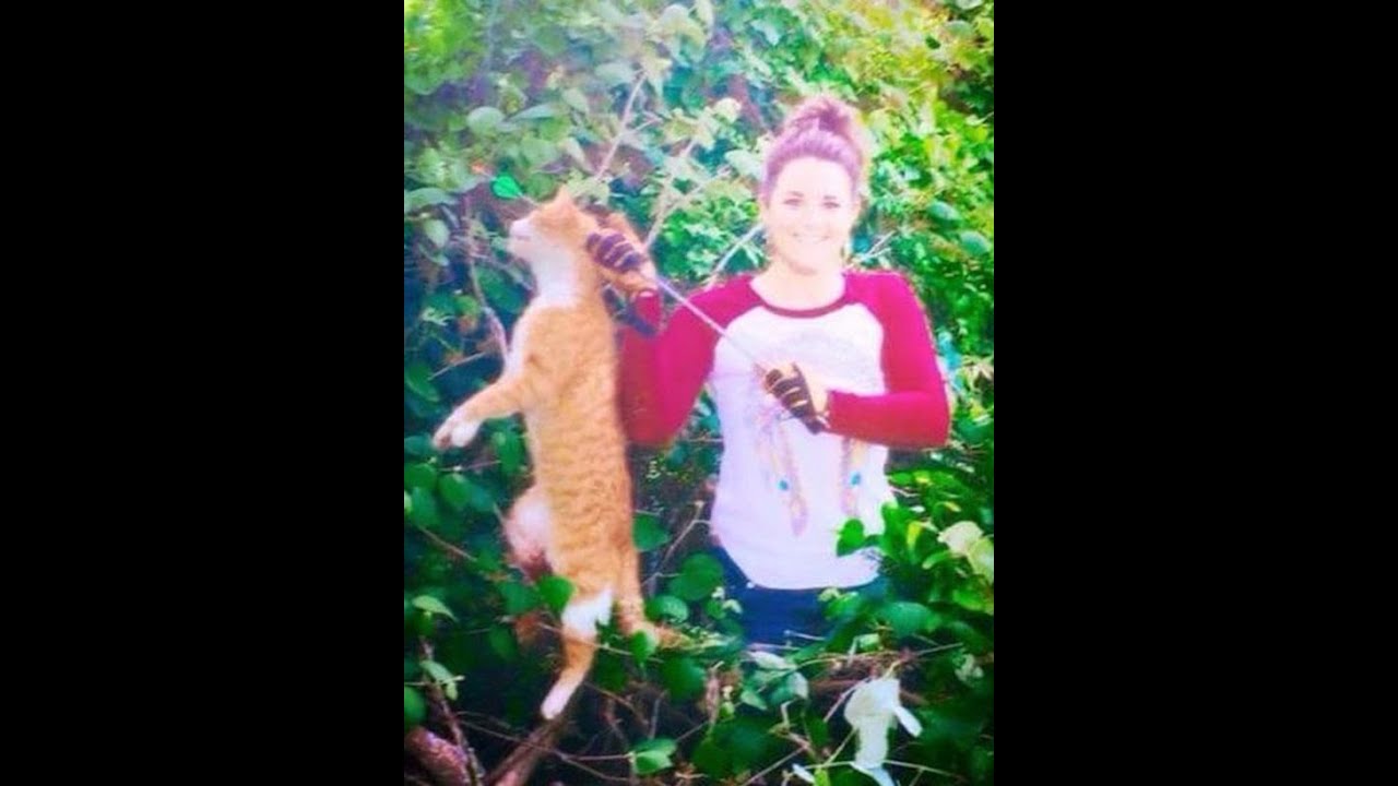 Woman Kills Cat With Arrow She S A Veterinarian Woman Kills Cat With Arrow She S A Veterinarian