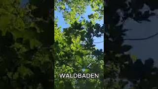 Waldbaden