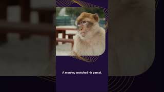 Articles Indefinite Articles