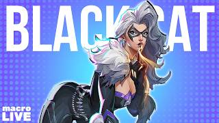 Why Is Black Cat Bent Over Like That?