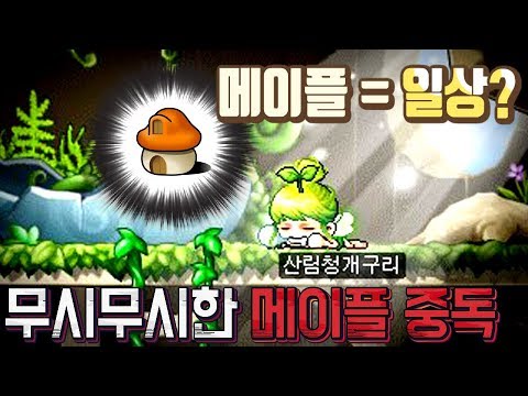 메이플=일상? 황당한 메이플 중독 이야기 (라디오 방송, 메이플스토리)