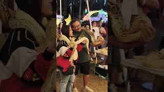 Python Snake 00009997886 viral trending short