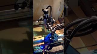 IMG 0009