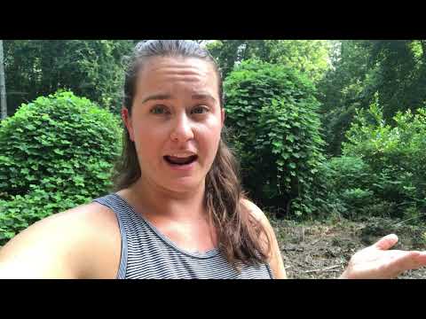 Brooke's TEFL Heaven review — teaching English abroad
