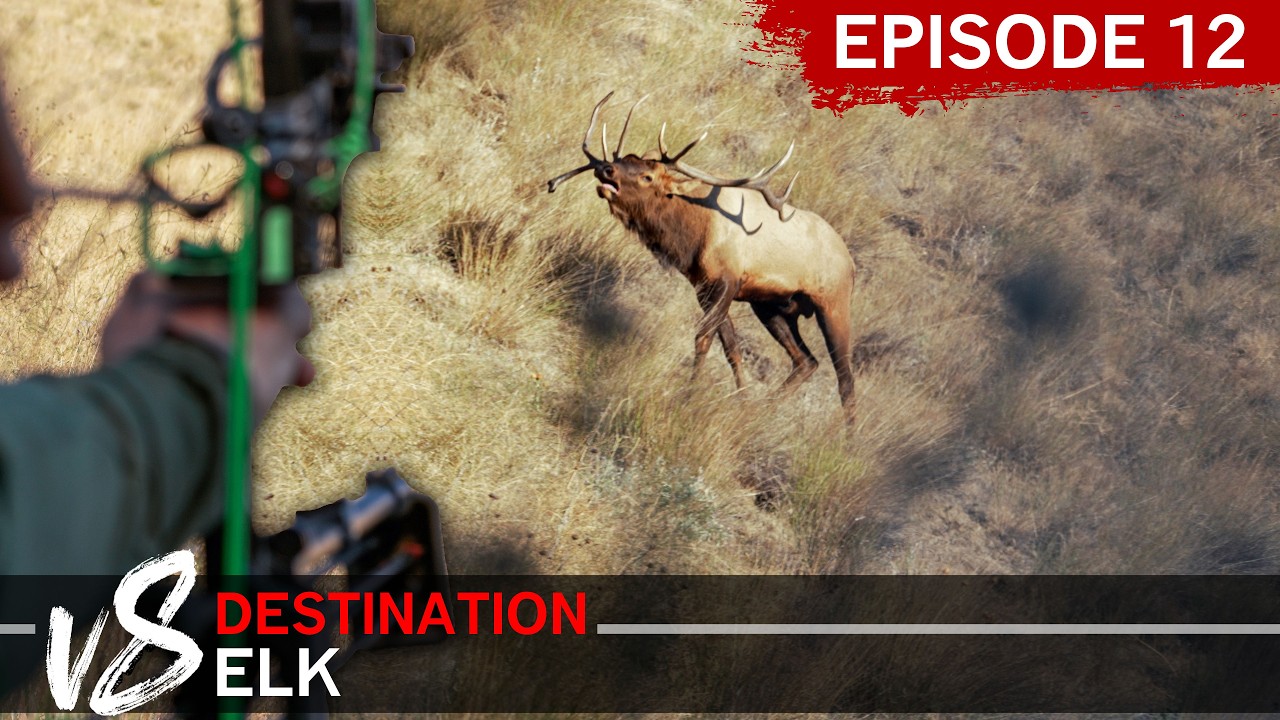 WELCOME to the CLUB! Episode 12: DEV8 (Destination Elk V8)
