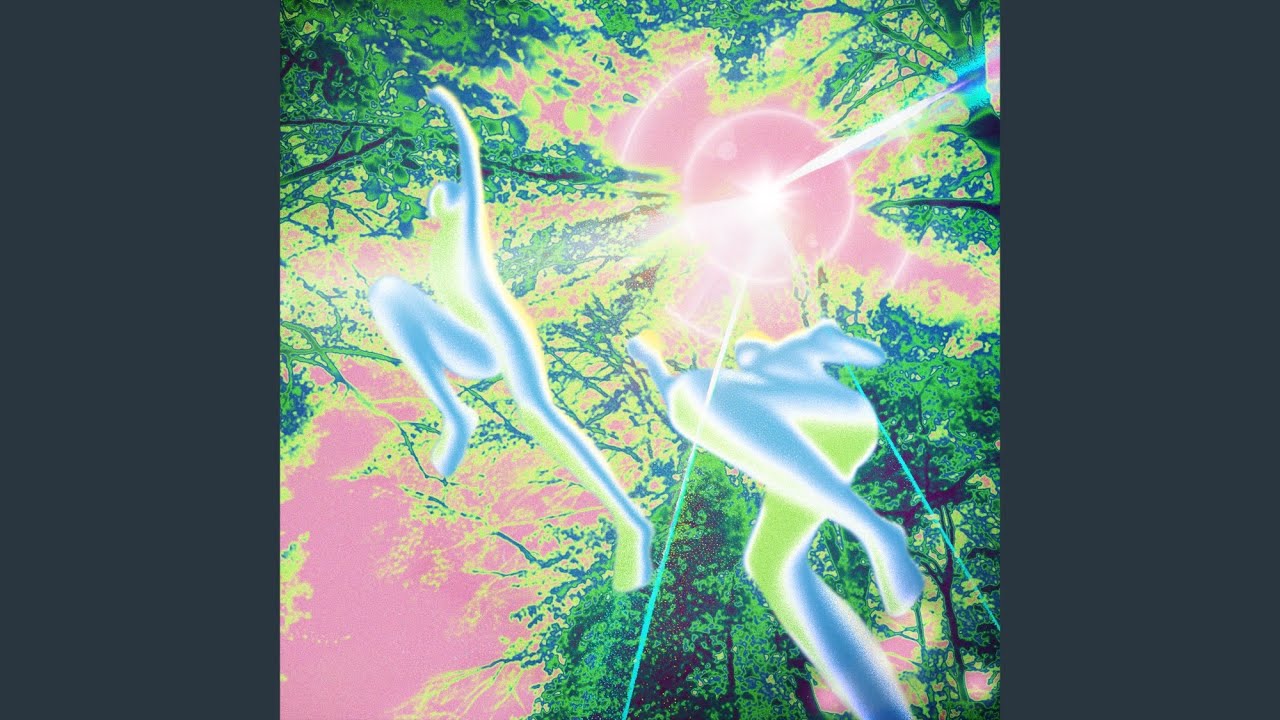 Summer Cosmos