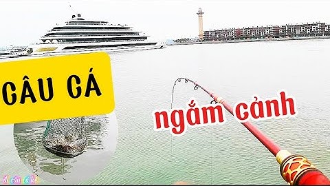 Câu cá rìa ở cảng tàu du lịch- vừa câu vừa ngắm cảnh view triệu đô/@dicaucake