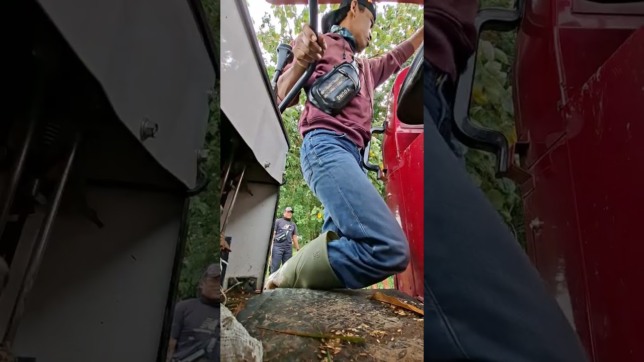 Aktifitas perjalanan di pagi hari untuk mcari rejeki