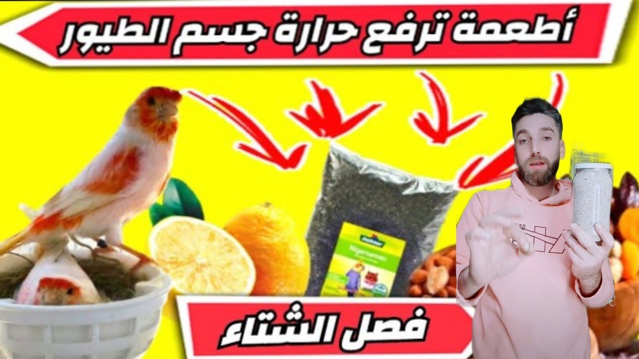 أفضل طريقة لحماية طيورك من برد وأمراض الشتاء ارفع منعتها وحرارتها بطريقة طبيعية