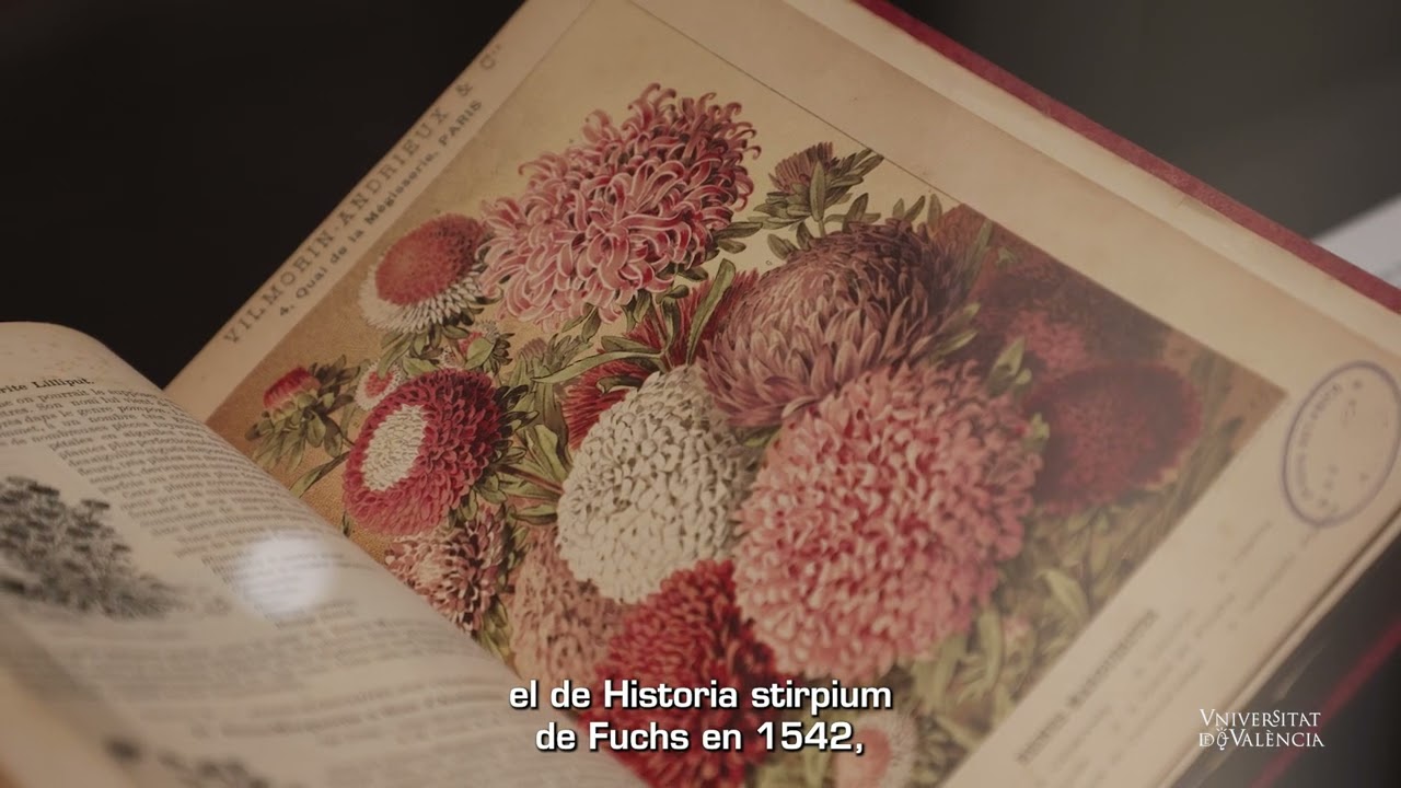 EXPO DE LLIBRES I PLANTES: Il·lustració botànica a les biblioteques de la UV