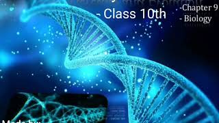 class 10 biology Chapter 9  Heredity and Evolution
