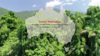 Qantas Guided Meditation Series - Forest