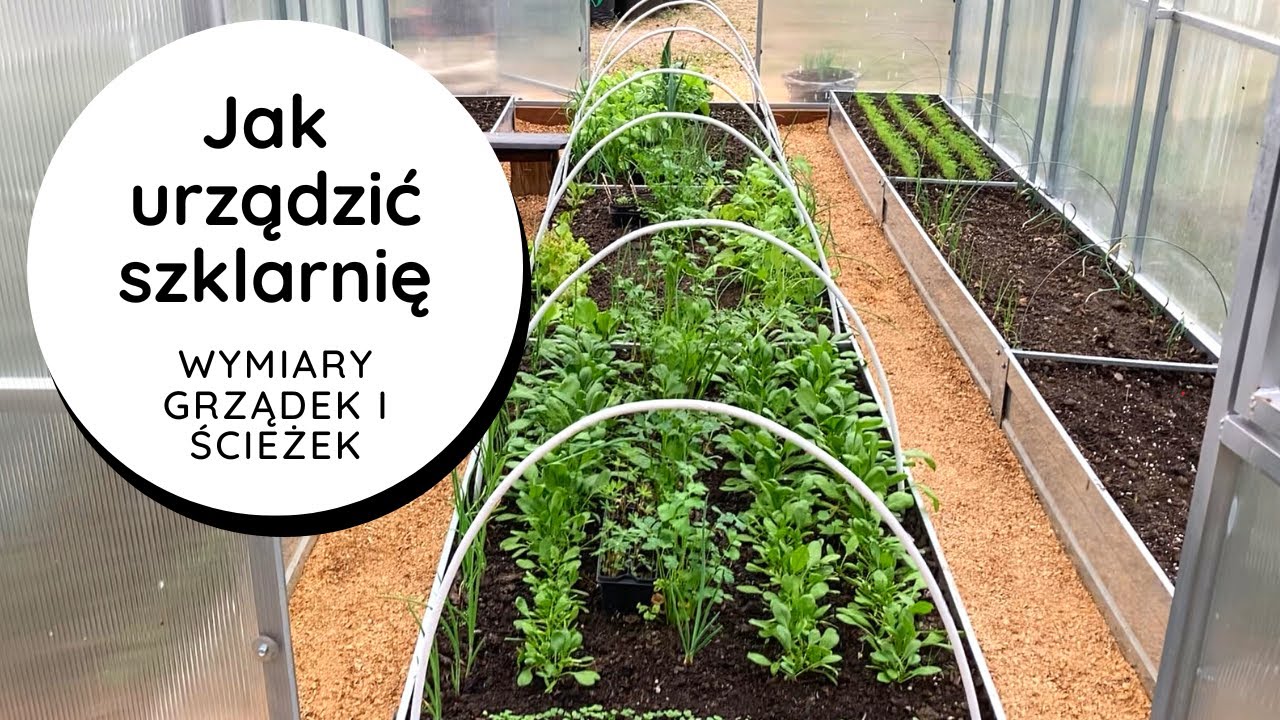 ❓Jakie WYMIARY GRZĄDEK i ŚCIEŻEK w szklarni? Jak urządzić szklarnię? Grządki podniesione w szklarni