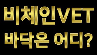 비체인 코인 전망 바닥은 어디? 단기적 중장기적 시나리오는? VET