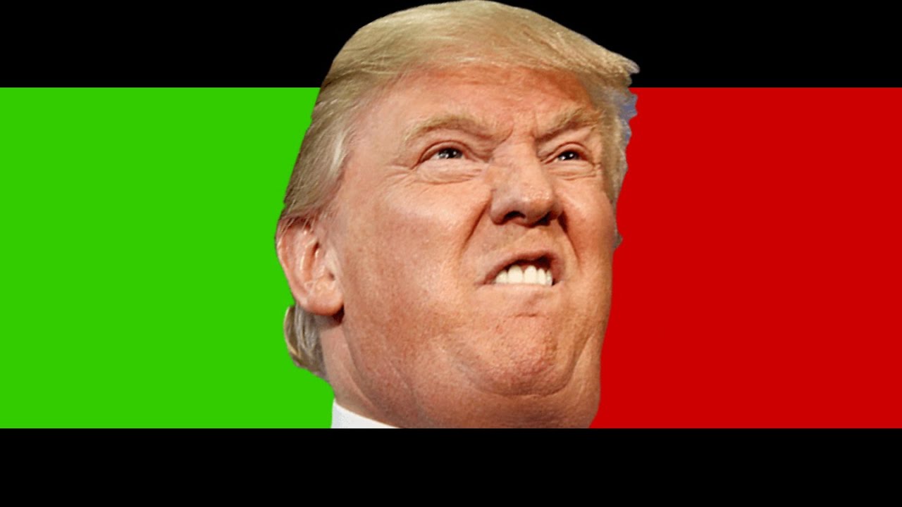 Funny Music Remix Of Viral Videos YouTube