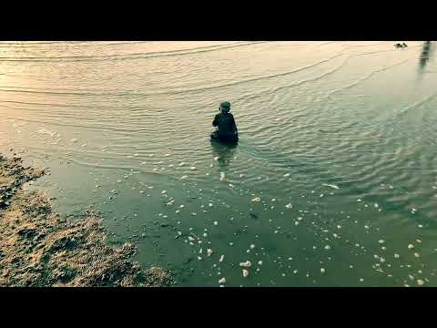 Phelian - Liturgy (Piano Version)