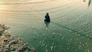 Phelian  Liturgy piano Version