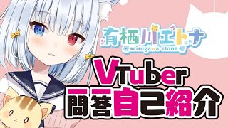 「Vtuber一問一答自己紹介　by 有栖川エトナ🐱」のサムネイル
