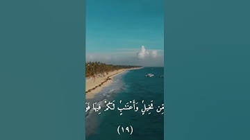 سورة المؤمنون- ايه ١٩