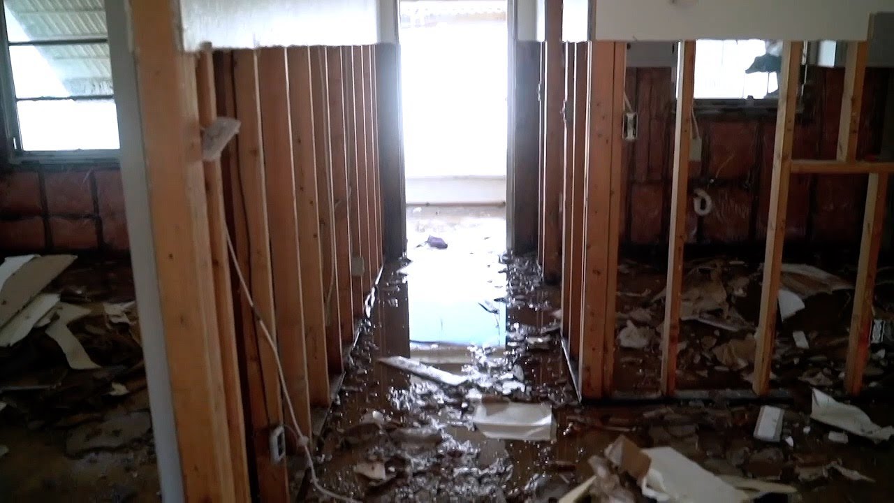 ‘It has to be presented ethically’: New law requires home sellers disclose flood damage to buyers