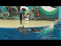 Сочи.Дельфинарий в парке "Ривьера"(видеозарисовка)HD.