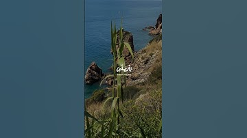 Surah Al-Maun by Al-minshawi | سورة الماعون المنشاوي