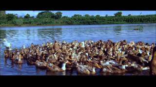 Kathavarayan- Oru Kaalai Song