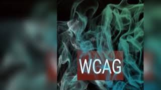 WCAG Guideline 1.2 Time Based Media