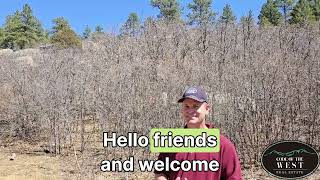 337 Rancho La Garita Filing #10, Weston, CO 81091