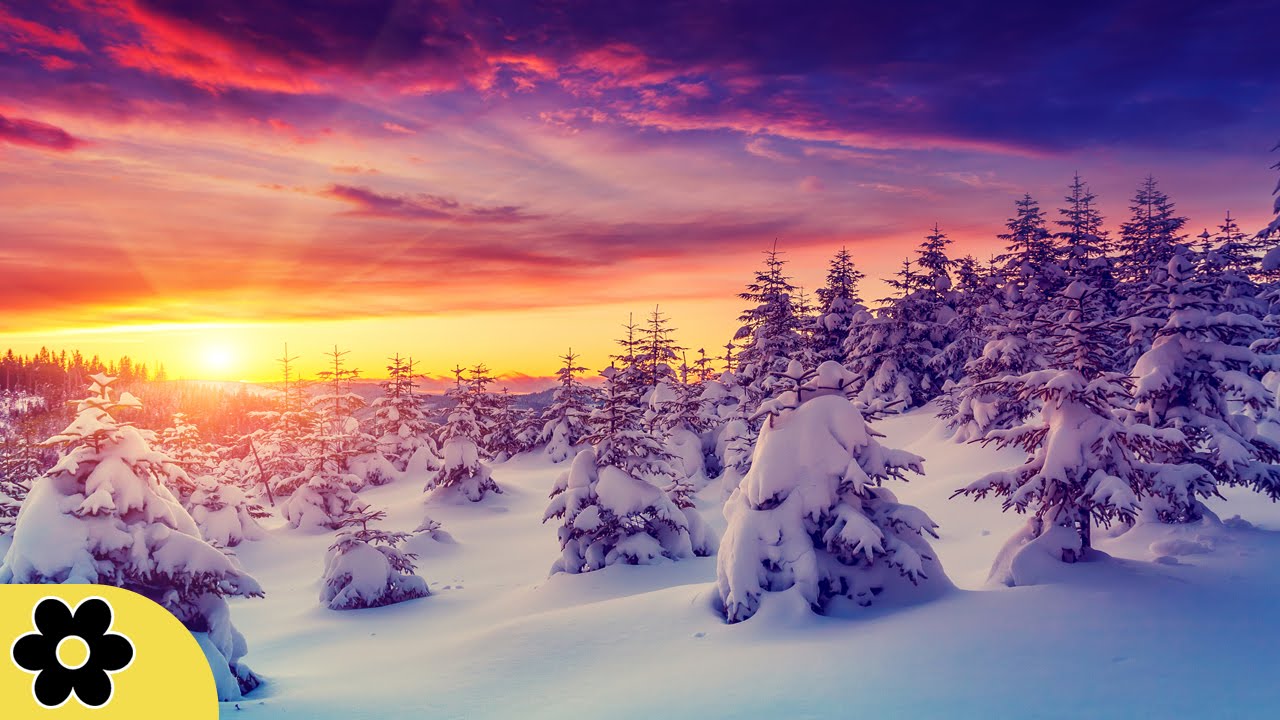 dreaming of or about 8 Hour Deep Sleep Music, Peaceful Music, Relaxing, Meditation Music, Sleep Meditation Music, ✿2739C