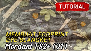 Cara Membuat Ecoprint Dye Blanket | How to make Ecoprint Dye Blanket | MORDANT TS2+ (01)