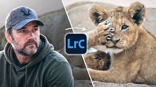 Better Wildlife Edits Can Be Surprisingly Simple