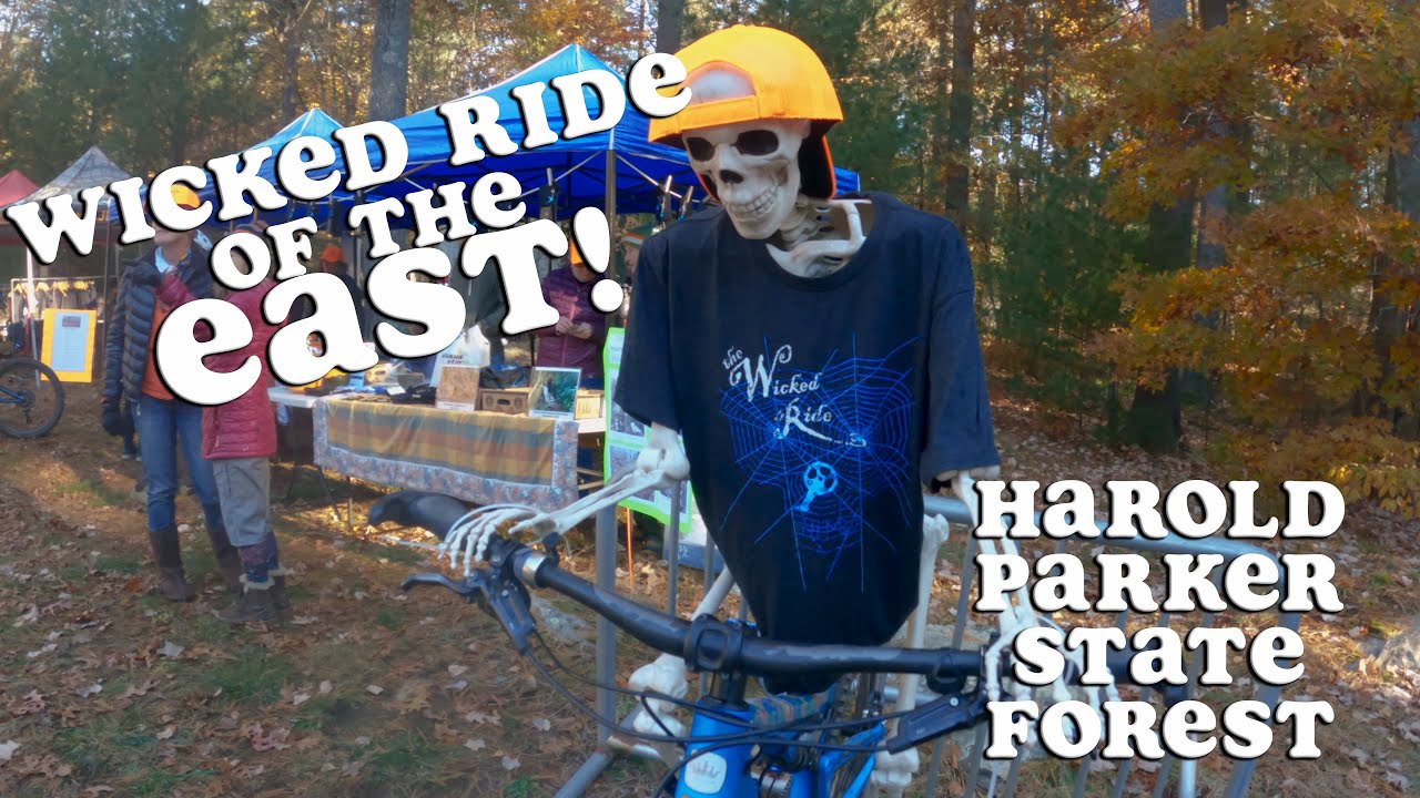 Wicked Ride of the East // Harold Parker State Forest
