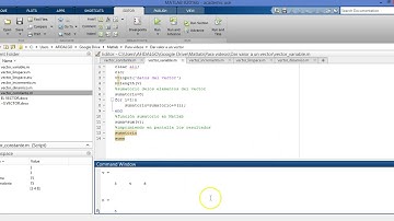 Matlab. Asignar valores variables a los elementos de un vector